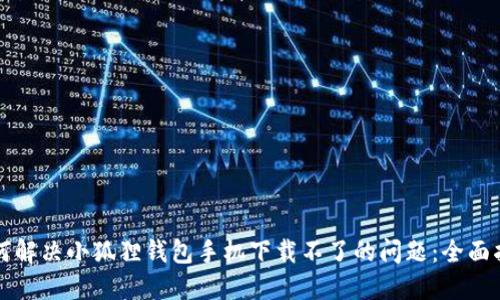 如何解决小狐狸钱包手机下载不了的问题：全面指南
